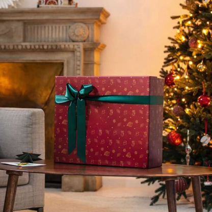 Caixa com 24 louças de porcelana premium